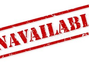 UNAVAILABLE - Nunawading Purple Polo (Social Shirt)